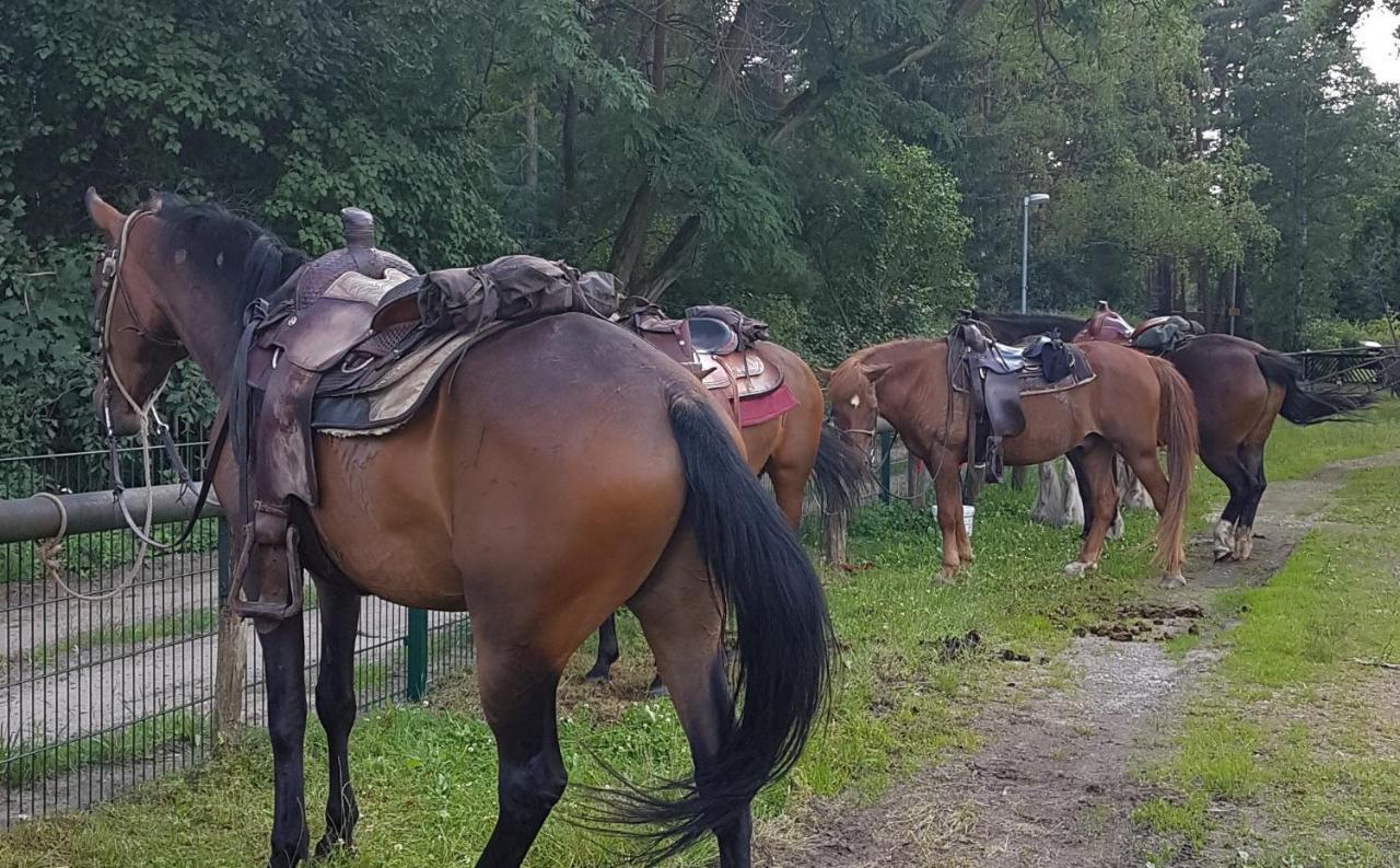 Pension New Nomads Zesch Zewnętrze zdjęcie